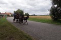 IMG_20210819_131555