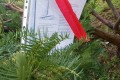 IMG_20210913_090723