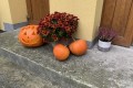 IMG_4875