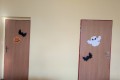 IMG_20211101_090452