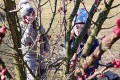 IMG_20220321_095809