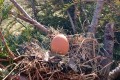IMG_20220321_100818