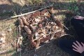 IMG_20220321_101231