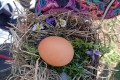 IMG_20220321_101317