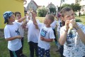 IMG_20220603_093442