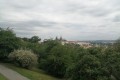 IMG_20220613_100239