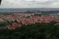 IMG_20220613_103444