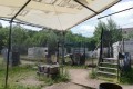 IMG_20220614_130338
