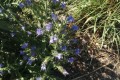 IMG_20220627_164823