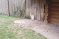 IMG-20220628-WA0004