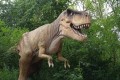 IMG_20220628_104317_1