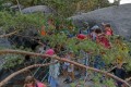IMG-20220905-WA0009