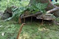 IMG-20220905-WA0031