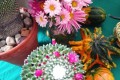 IMG_20220905_100209