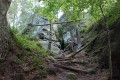IMG-20220907-WA0025