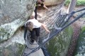 IMG-20220907-WA0092