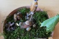 IMG_20221021_120811