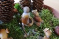 IMG_20221021_120840