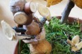 IMG_20221021_120920