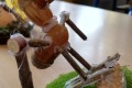 IMG_20221021_121100