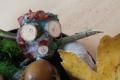 IMG_20221021_123846
