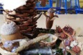 IMG_20221021_123939