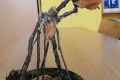 IMG_20221021_124105
