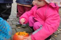 IMG_20221031_105944_1