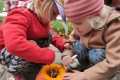 IMG_20221031_110009