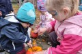 IMG_20221031_110120