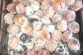 IMG_20230224_115218