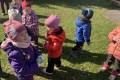 IMG_1661