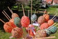 IMG_20230405_112546