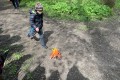 IMG_2354