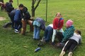 IMG_3719