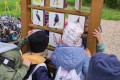 IMG_20230518_103534
