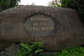 NUIE7658
