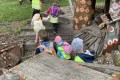 IMG_3062