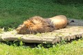 IMG-20230609-WA0006