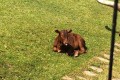 IMG-20230609-WA0007