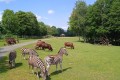 IMG_20230608_111846_1