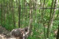 IMG_20230608_113516_1