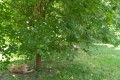 IMG_20230608_114341