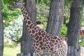 IMG_20230608_123729