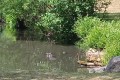 IMG_20230608_125905