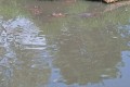 IMG_20230608_130111