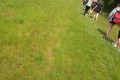 IMG_20230613_103208