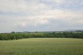 IMG_20230613_103923