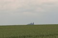 IMG_20230613_104230