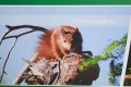 IMG_20230613_113445_1